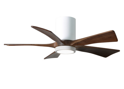 Irene-5HLK 42'' Ceiling Fan in Gloss White (101|IR5HLK-WH-WA-42)