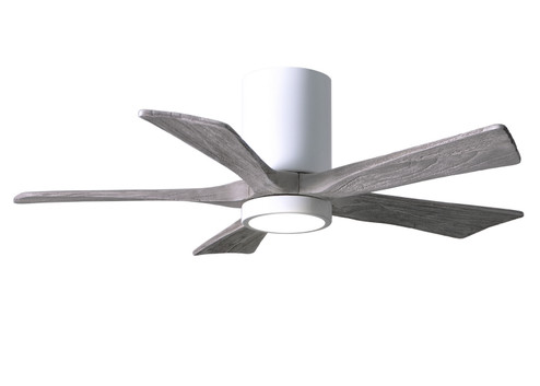 Irene-5HLK 42'' Ceiling Fan in Gloss White (101|IR5HLK-WH-BW-42)
