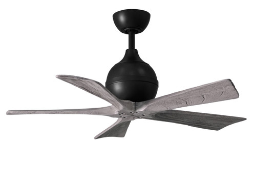 Irene-5 42'' Ceiling Fan in Matte Black (101|IR5-BK-BW-42)