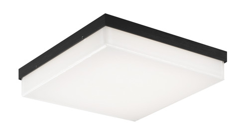 Kabu LED Flush Mount in Oxidized Black (423|X12411OB)
