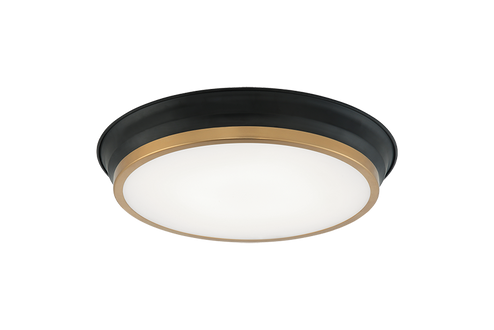 Jaxx LED Ceiling Mount in Black + Aged Gold Brass (423|M11202BKAG)