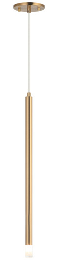 Reigndrop One Light Pendant in Aged Gold Brass (423|C63101AG)