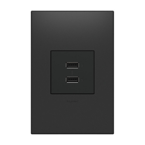 Adorne USB Type-A/A Outlet Module in Graphite (246|ARUSB2AA6G4)