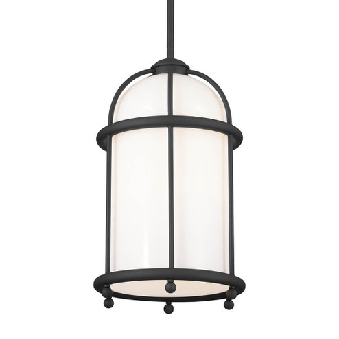 Topiary One Light Pendant in Textured Black (12|52464BKT)