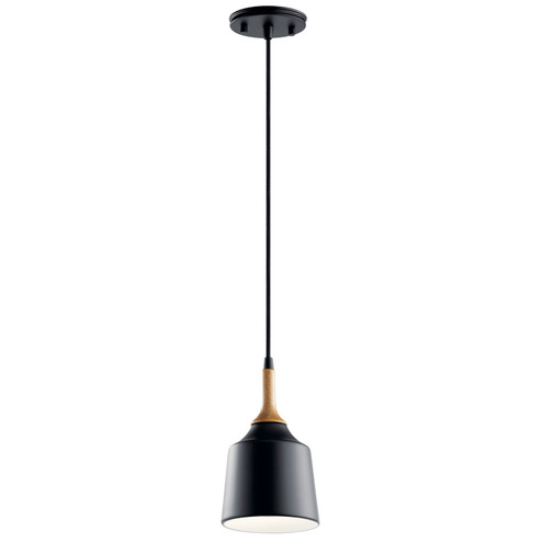 Danika One Light Mini Pendant in Black (12|43682BK)