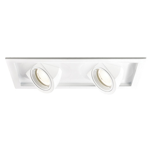 Tesla LED Multiple Two Light Trim with Light Engine in White (34|MT-5LD225T-F35-WT)