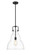 Haverhill One Light Pendant in Matte Black (405|494-1S-BK-G592-14)