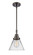 Caden LED Mini Pendant in Oil Rubbed Bronze (405|447-1S-OB-G42-LED)