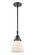 Caden One Light Mini Pendant in Matte Black (405|447-1S-BK-G61)