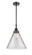 Caden One Light Mini Pendant in Matte Black (405|447-1S-BK-G42-L)