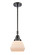 Caden One Light Mini Pendant in Matte Black (405|447-1S-BK-G171)