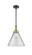 Caden One Light Mini Pendant in Black Antique Brass (405|447-1S-BAB-G42-L)