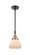 Caden One Light Mini Pendant in Black Antique Brass (405|447-1S-BAB-G171)