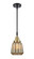 Caden One Light Mini Pendant in Black Antique Brass (405|447-1S-BAB-G146)