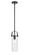 Downtown Urban One Light Pendant in Matte Black (405|423-1S-BK-G423-12DE)