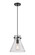 Downtown Urban One Light Pendant in Matte Black (405|410-1PM-BK-G411-10SDY)