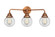 Nouveau 2 LED Bath Vanity in Antique Copper (405|288-3W-AC-G202-6-LED)