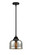 Nouveau 2 LED Mini Pendant in Matte Black (405|288-1S-BK-G78-LED)