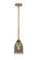 Nouveau 2 LED Mini Pendant in Brushed Brass (405|288-1S-BB-G53-LED)