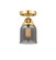 Nouveau 2 LED Semi-Flush Mount in Satin Gold (405|288-1C-SG-G53-LED)