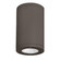 Tube Arch LED Flush Mount in Bronze (34|DS-CD08-F927-BZ)