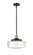 Franklin Restoration LED Mini Pendant in Black Antique Brass (405|201S-BAB-G694-12-LED)