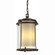 Meridian One Light Outdoor Ceiling Fixture in Coastal Bronze (39|365615-SKT-75-ZS0283)