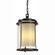 Meridian Meridian Large Outdoor Ceiling Fixture in Coastal Oil Rubbed Bronze (39|365615-SKT-14-ZS0283)