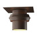 Twilight Twilight Dark Sky Friendly Outdoor Semi-Flush in Coastal Bronze (39|364903-SKT-75)