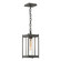 Cela Cela Medium Outdoor Lantern in Coastal Natural Iron (39|362021-SKT-20-ZM0730)
