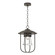 Erlenmeyer One Light Outdoor Pendant in Coastal Dark Smoke (39|356010-SKT-77-ZM0467)