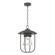 Erlenmeyer Erlenmeyer Outdoor Pendant in Coastal Natural Iron (39|356010-SKT-20-ZM0467)