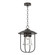 Erlenmeyer Erlenmeyer Outdoor Pendant in Coastal Oil Rubbed Bronze (39|356010-SKT-14-ZM0467)