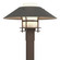 Henry Henry Outdoor Post Light in Coastal Bronze (39|344227-SKT-75-20-GG0026)