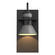 Erlenmeyer Erlenmeyer Dark Sky Friendly Outdoor Sconce in Coastal Black (39|307716-SKT-80-78)