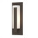 Vertical Bar Forged Vertical Bars Small Outdoor Sconce in Coastal Dark Smoke (39|307285-SKT-77-GG0066)