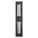 Axis Double Axis Small LED Outdoor Sconce in Coastal Black (39|306415-LED-80-ZM0331)