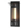 Torch Torch with Top Plate Large Outdoor Sconce in Coastal Black (39|305998-SKT-80-ZS0656)