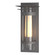 Torch Torch with Top Plate Large Outdoor Sconce in Coastal Burnished Steel (39|305998-SKT-78-ZS0656)