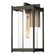Cela One Light Outdoor Wall Sconce in Coastal Dark Smoke (39|302023-SKT-77-ZM0731)
