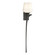 Antasia Antasia Single Glass 1 Light Sconce in Natural Iron (39|204710-SKT-RGT-20-GG0236)