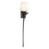 Antasia Antasia Single Glass 1 Light Sconce in Oil Rubbed Bronze (39|204710-SKT-RGT-14-GG0236)