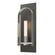 Triomphe Triomphe 1-Light Sconce in Dark Smoke (39|201070-SKT-07-85-FD0462)