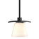 Wren One Light Mini Pendant in Black (39|186600-SKT-MULT-10-GG0242)