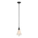 Mobius One Light Mini Pendant in Black (39|184530-SKT-MULT-10-SH1987)