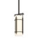 Paralline Paralline Mini Pendant in Oil Rubbed Bronze (39|183550-SKT-MULT-14-GG0118)