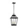 Falmouth Four Light Hanging Lantern in Dark Weathered Zinc (454|CO1054DWZ)