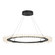 Anemone Anemone Circular LED Pendant in Black (39|139772-LED-STND-10)