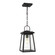 Founders One Light Outdoor Pendant in Black (454|6248401-12)