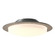 Oceanus Two Light Semi-Flush Mount in Vintage Platinum (39|126737-SKT-82-GG0097)